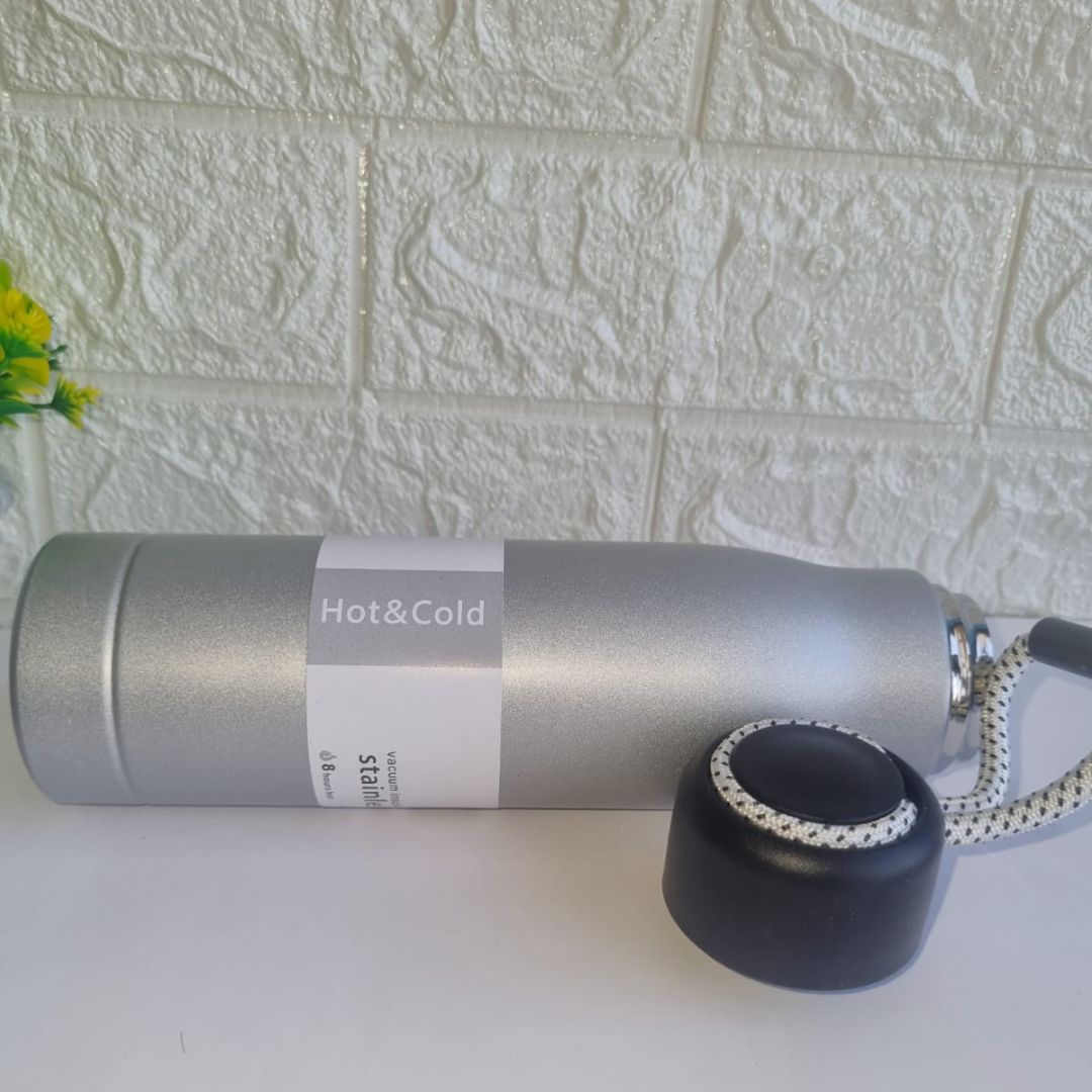 Stainless Steel Bottle Silver (Silver)
