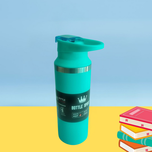 Stainless Steel Bottle White (500ml)