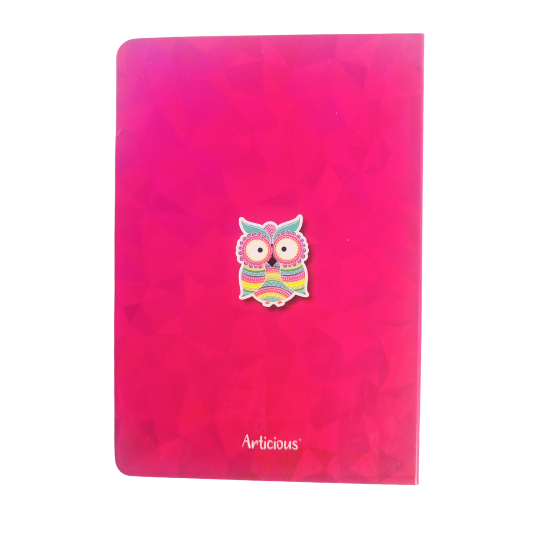 Why be Normal Journal